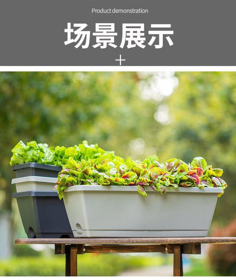 霍伦种菜盆蔬菜种植箱槽种菜长方形塑料花盆厂家特价批发零售