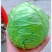 陕西汉中：绿色甘蓝：质量高颜色绿，产地直发视频看货。
