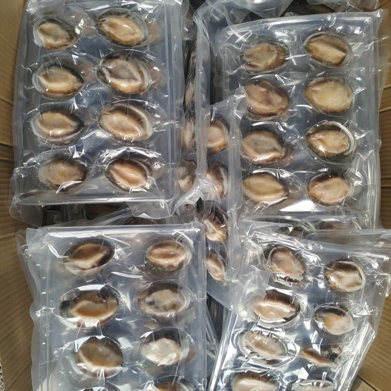 大连鲍鱼，鲍鱼尾货，支持全国代发，数量有限价格合适就清仓