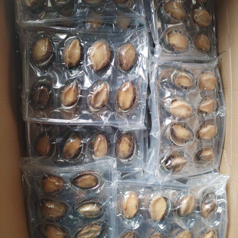 大连鲍鱼，鲍鱼尾货，支持全国代发，数量有限价格合适就清仓