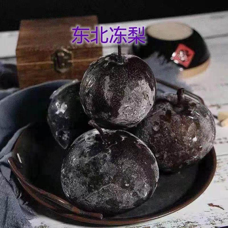 新品种冬梨树苗晚熟品种东北冻梨苗黑梨苗高产型抗病能力强