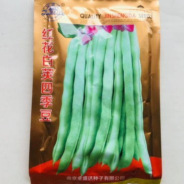 红花白荚四季豆种子高产早熟架豆种子全国均可种植春秋两用