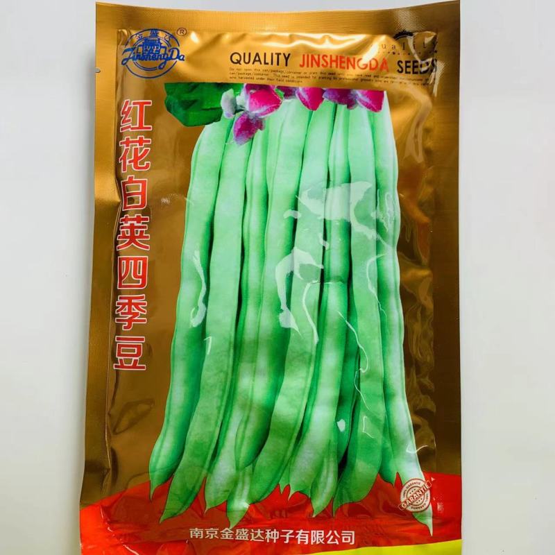 红花白荚四季豆种子高产早熟架豆种子全国均可种植春秋两用
