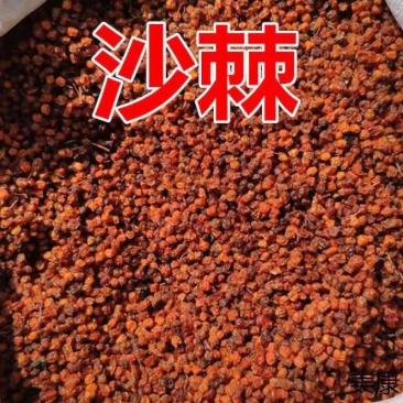 沙棘产原地……新疆阿克苏乌什县沙棘