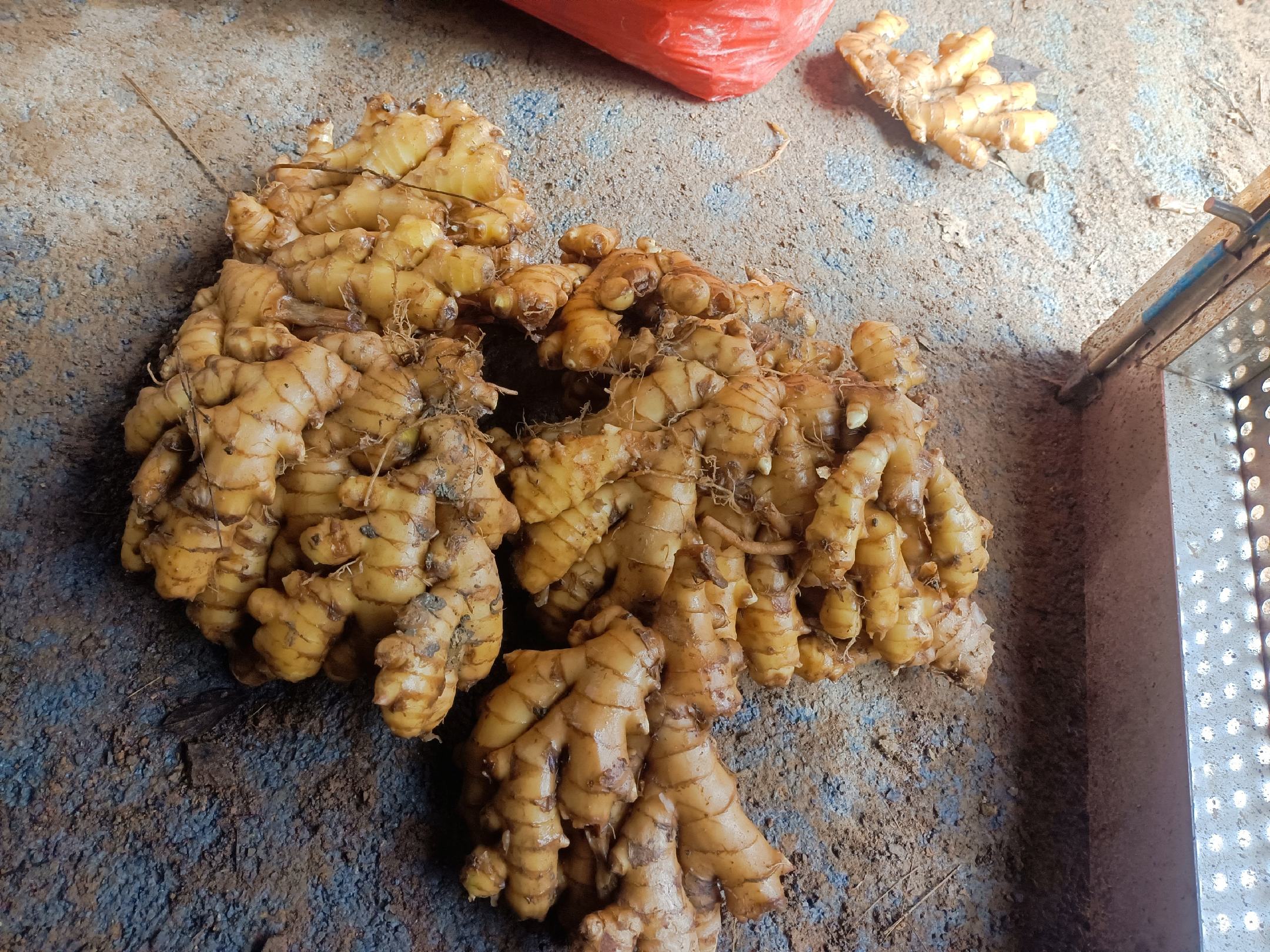 四川仔姜电商包装与物流运输图