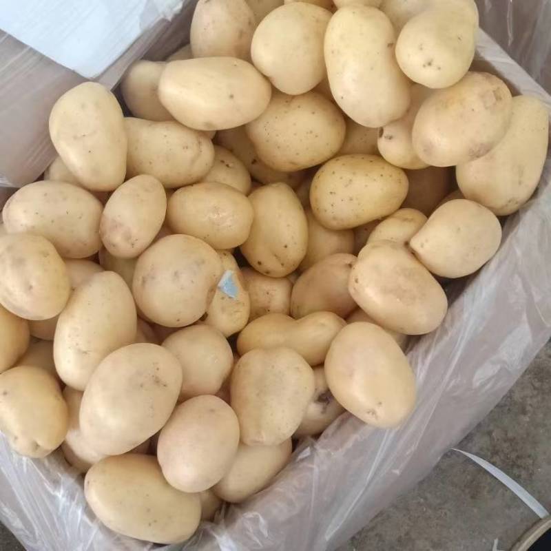 大量出货
