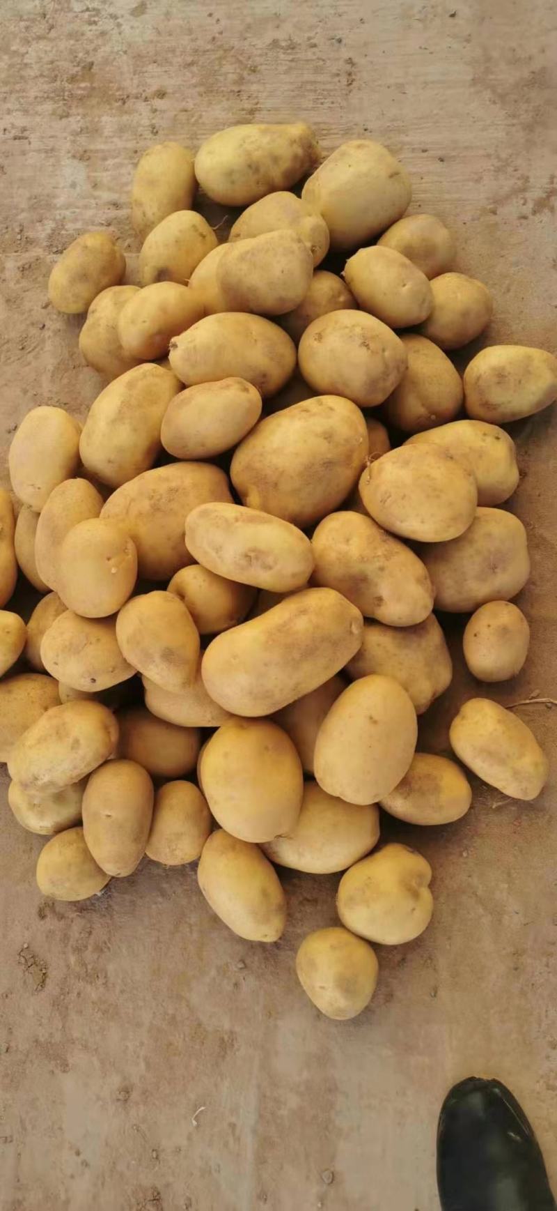 大量出货