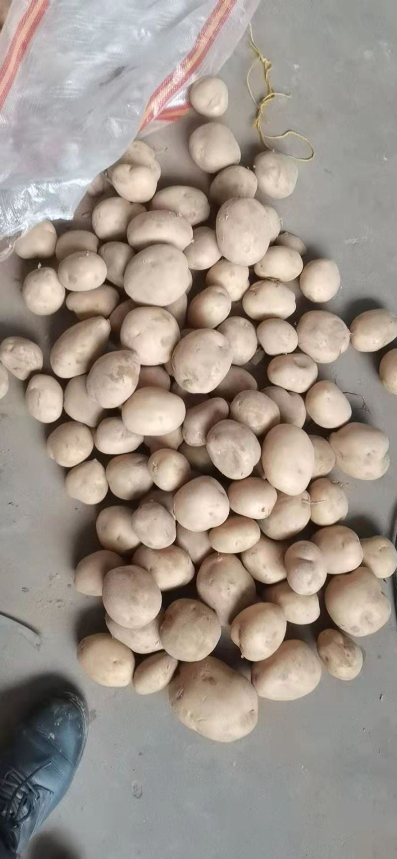 大量出货