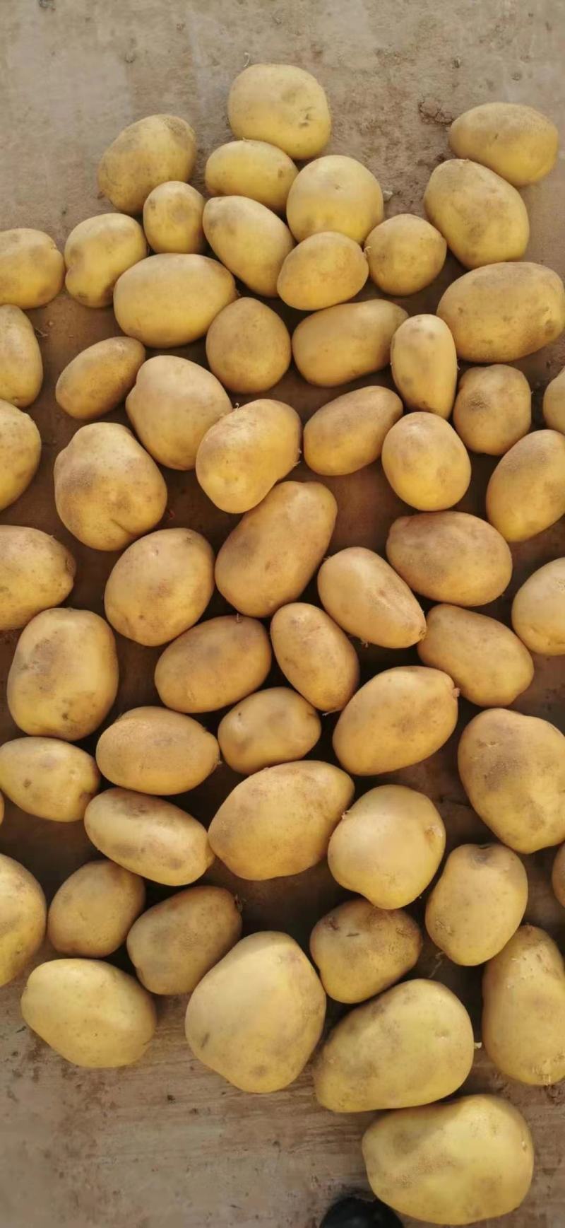 大量出货