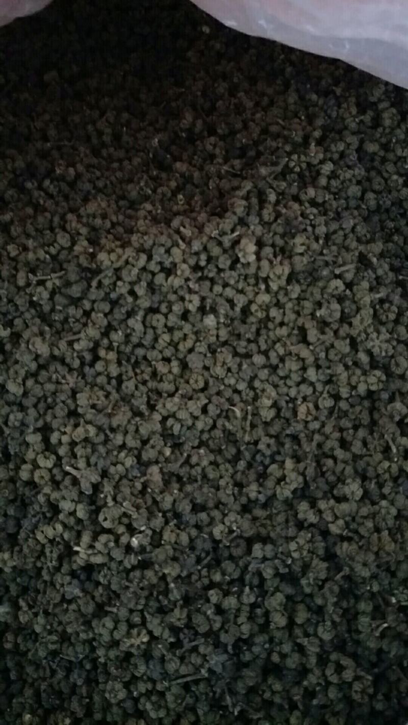 吴茱萸