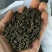 吴茱萸
