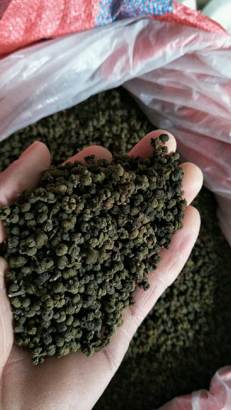 吴茱萸