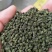 吴茱萸