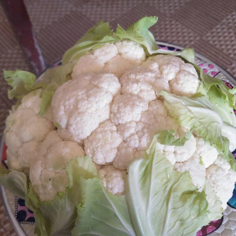 【当季热销】菜花陕西实花菜产地直供一手货源