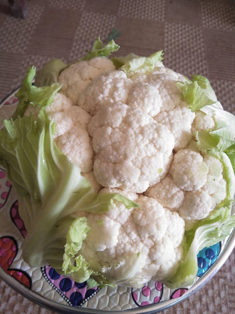 【当季热销】菜花陕西实花菜产地直供一手货源