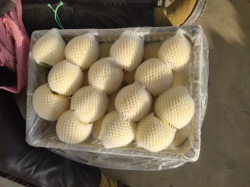 黄元帅苹果，富士苹果果光苹果