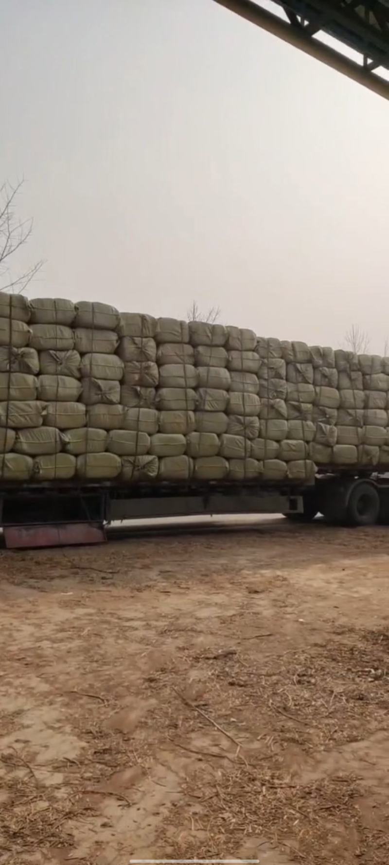 杜仲皮厚的薄的炒的多种规格一手货源保证质量