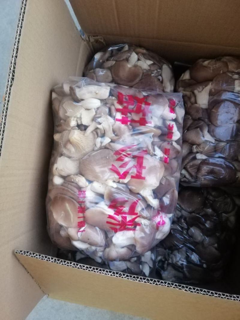 秀珍菇