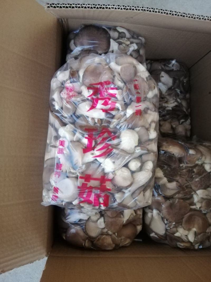 秀珍菇
