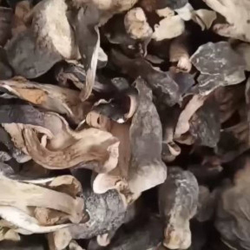 自种的干草菇，味道鲜美。质优价廉。一手货源。货源充足。