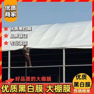 黑白膜大棚膜养殖大棚食用菌大棚苫盖等用途