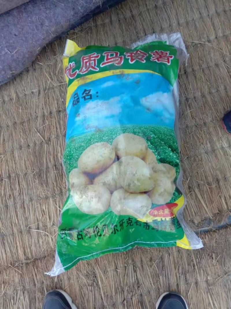 土豆种有要的连系我