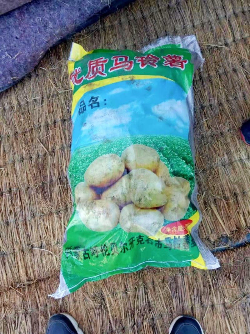 土豆种有要的连系我