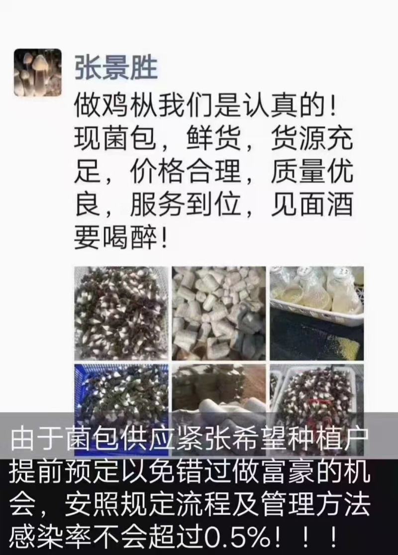 2.4斤精品黑皮鸡枞菌包全国供销专业团队供应优质售后
