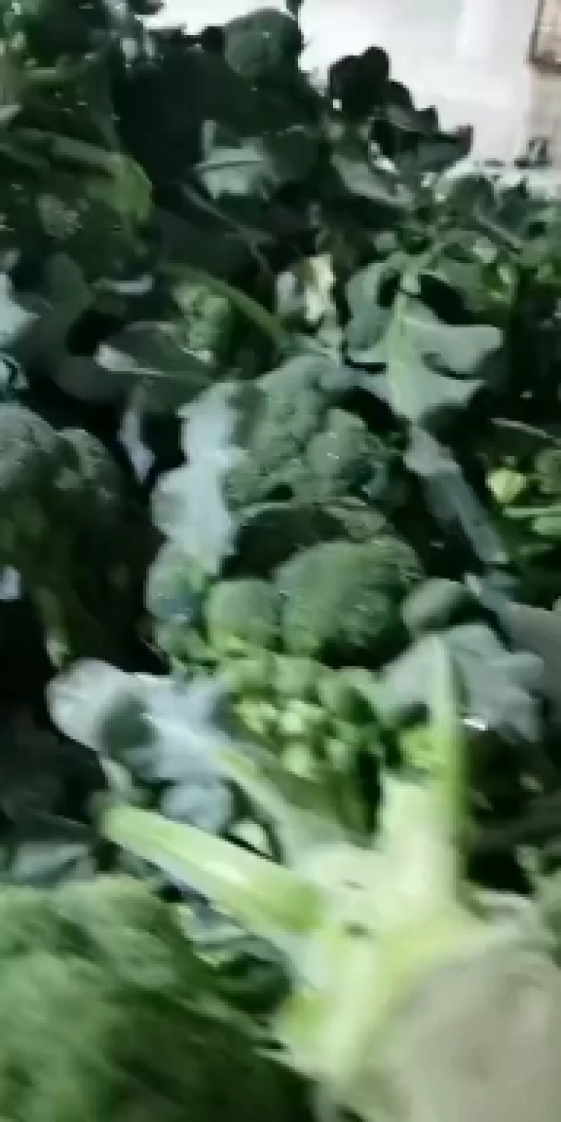 西兰花