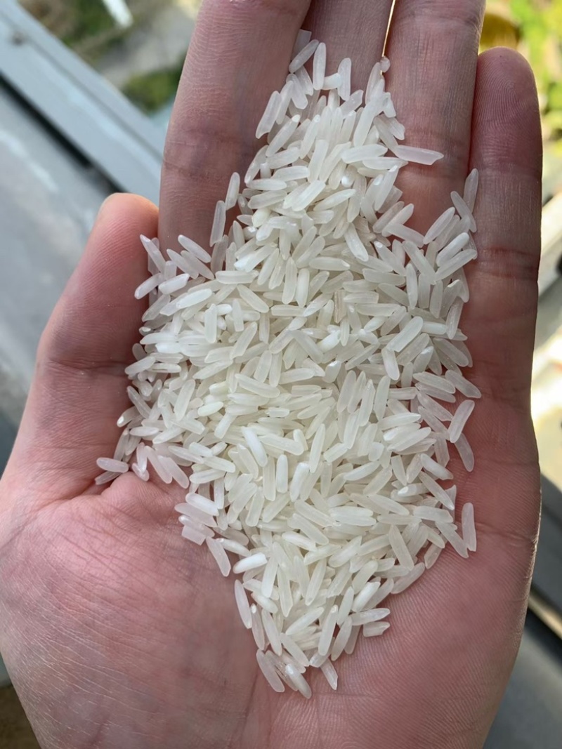 中粮泰国白米，颗粒长而饱满，色泽透亮，配米好用