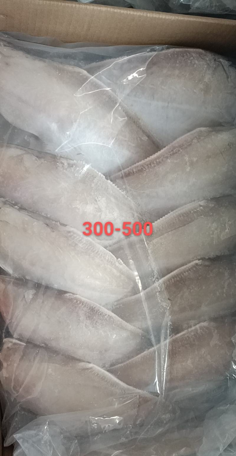 马面鱼也叫扒皮鱼质量保证欢迎订购