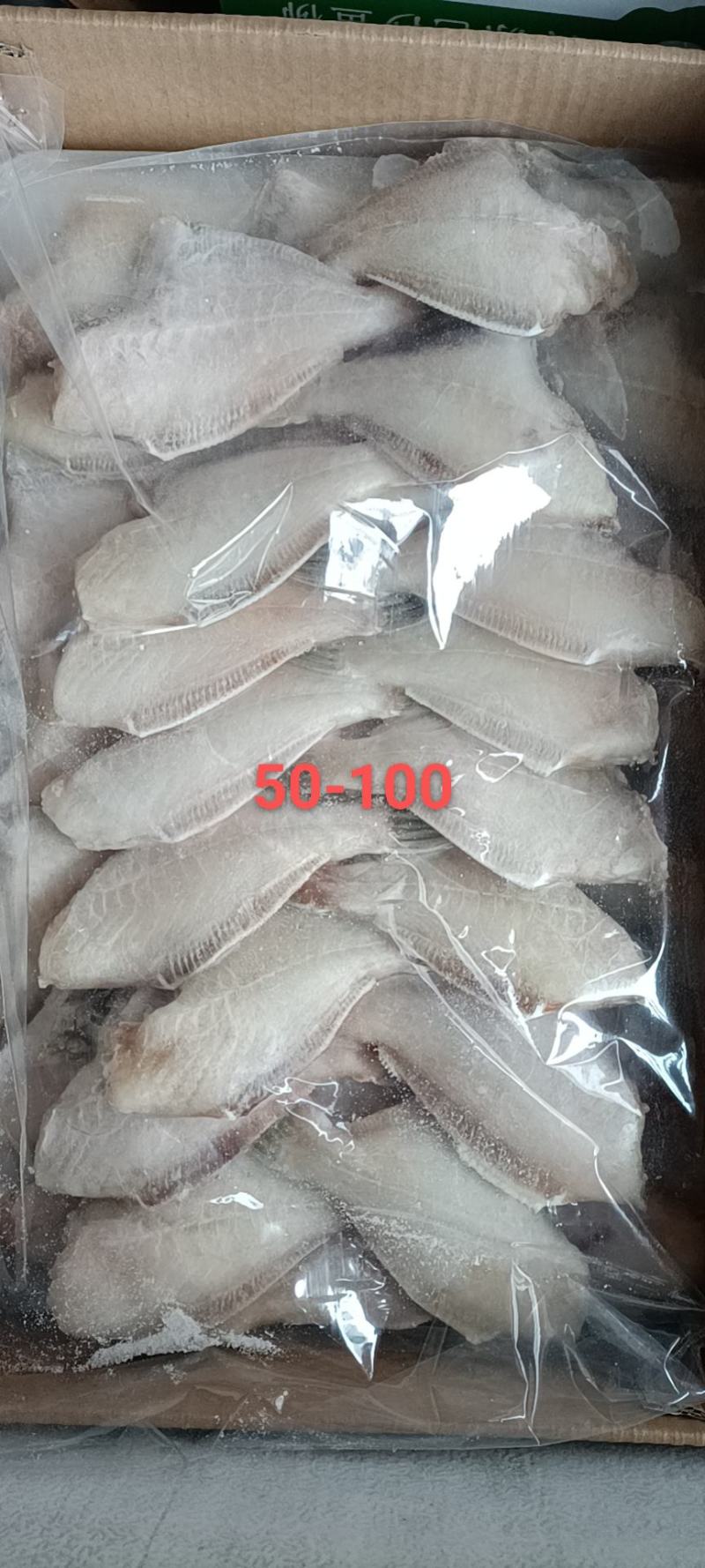 马面鱼也叫扒皮鱼质量保证欢迎订购