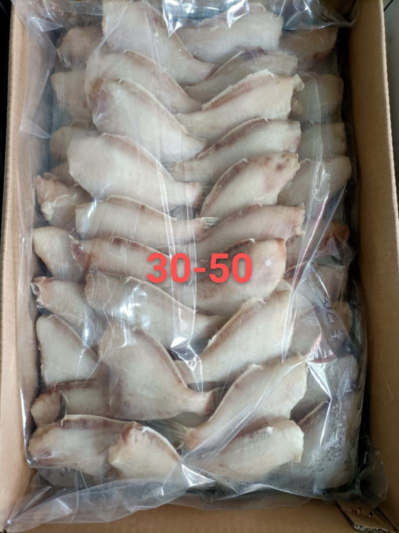马面鱼也叫扒皮鱼质量保证欢迎订购