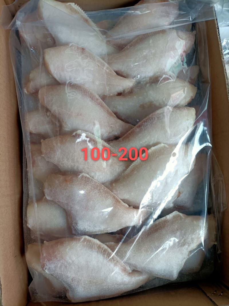 马面鱼也叫扒皮鱼质量保证欢迎订购