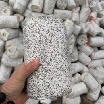 精品黑皮鸡枞菌包鲜货现货大量上市质量好价格优