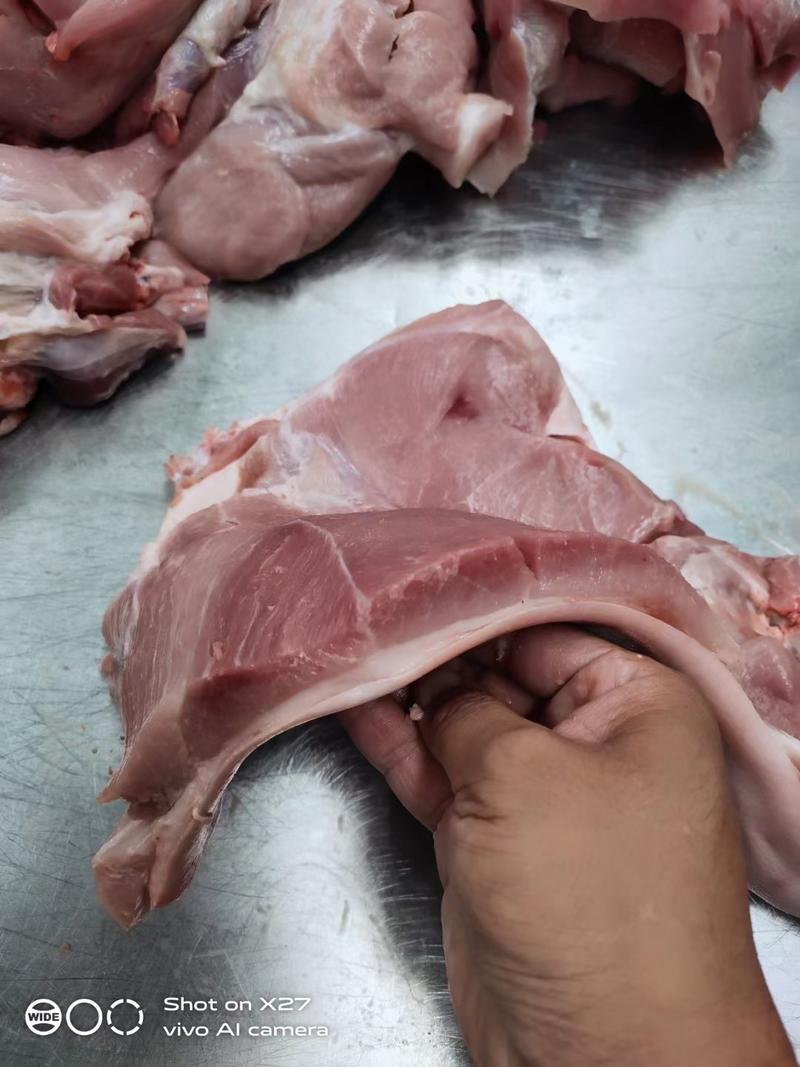 国产肥猪前后上肉4到7片装每天生产