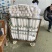 湖北秋季精品萝卜，三四五排大量有，食堂工厂电商出口
