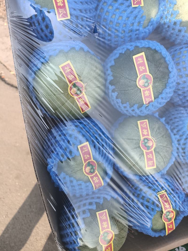 温室大棚香瓜已经上市品种全质量好口感好自然成熟