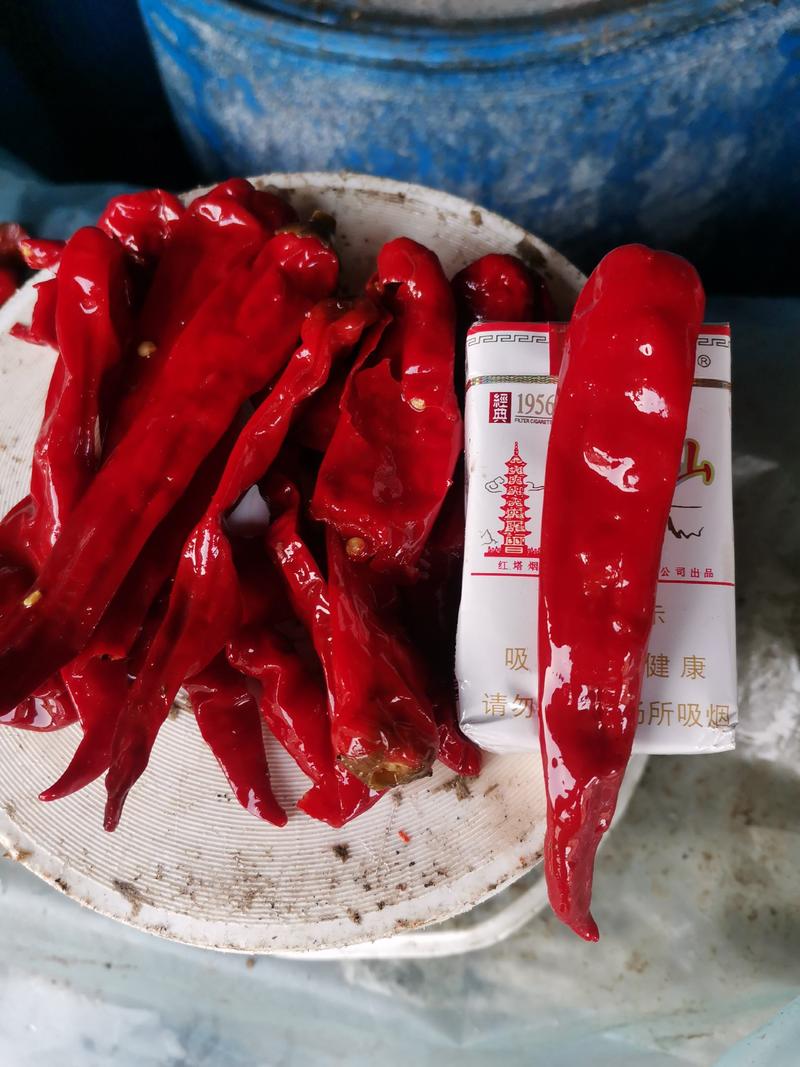 酱香浓郁的腌制软皮辣椒最新价格不加食品添加剂