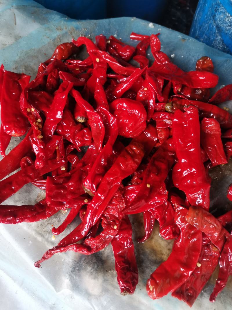 酱香浓郁的腌制软皮辣椒最新价格不加食品添加剂