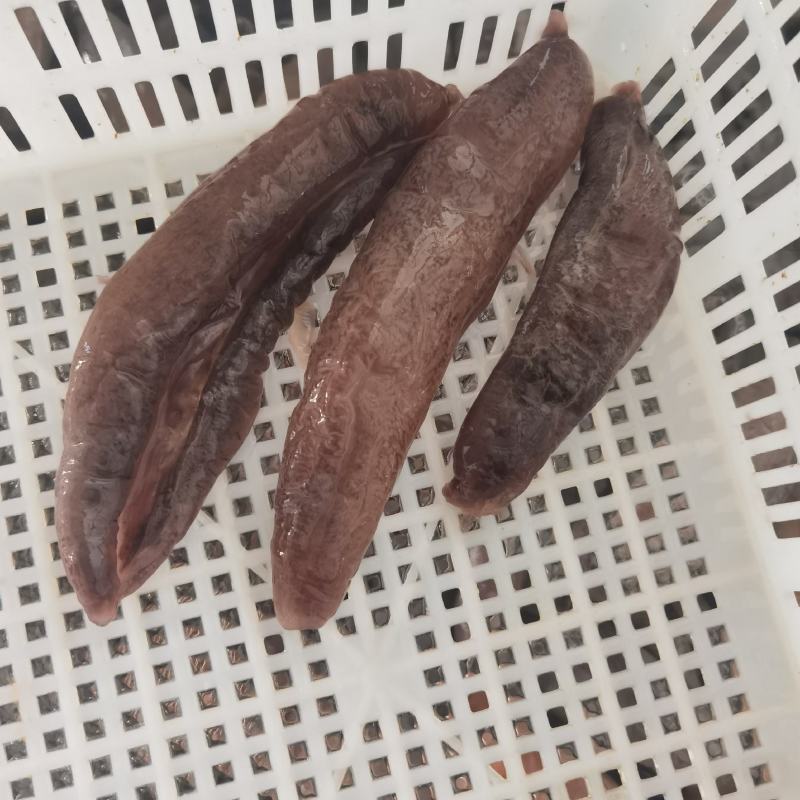 即食海参大乌参残参冰冻乌参厂家直供社区团购微商