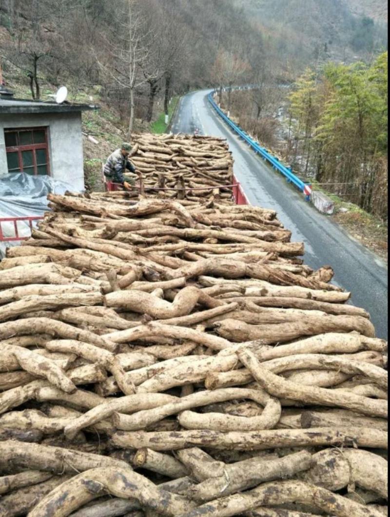 40年老葛根野生葛根片大山挖鲜葛根批发包邮
