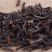 桂丁，产地直供，质优价实，品质保证，药典标准道地良药