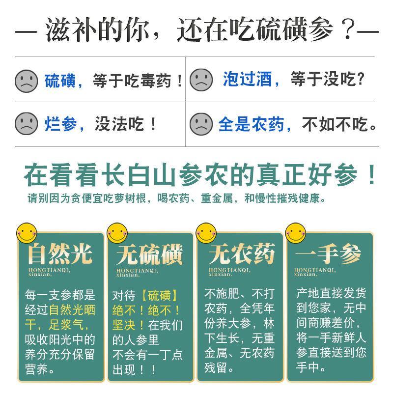 8-13年干人参6支装野山参生晒参长白山人参东北特产包邮