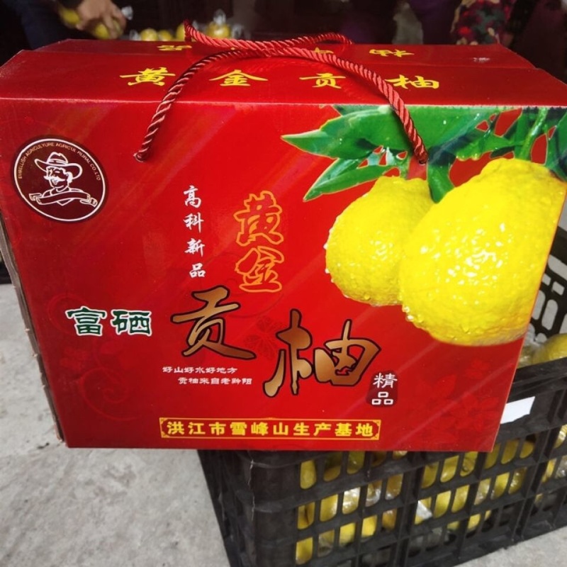 黄金贡柚爆甜多汁无酸口感好一件代发全国包邮