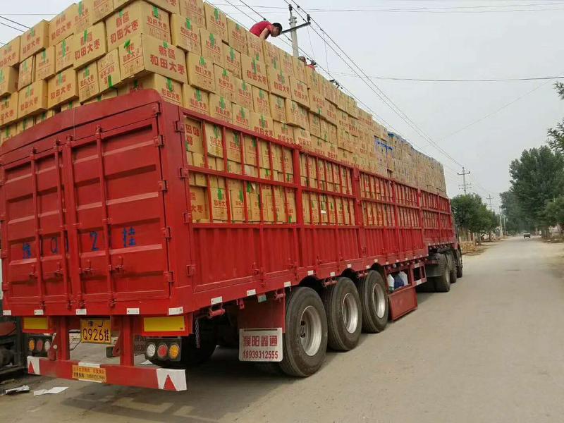 电商对接平台袋装红枣和田大枣厂家一手货源日供货50万