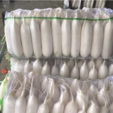 湖北秋季精品萝卜，三四五排大量有，食堂工厂电商出口