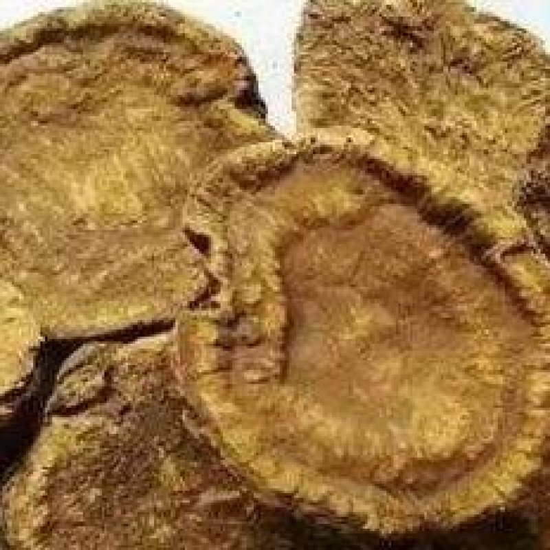 恩施马蹄大黄品质高含量高欢迎各位老板前来考察