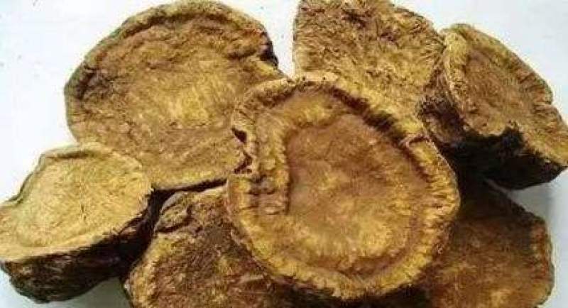 恩施马蹄大黄品质高含量高欢迎各位老板前来考察