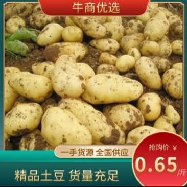 【推荐】甘肃土豆、定西陇十土豆批发.精选优质土豆发四川
